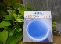 ベスト👍 『バケツのこおり』（ちいさなかがくのとも1月号）