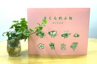 ベスト👍 『さくらのふね』